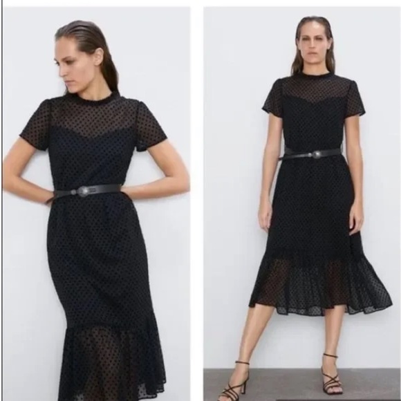 Zara Dresses Zara Swiss Dot Black Polka Dot Mesh Midi Dress Poshmark